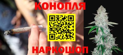 индика Отрадное