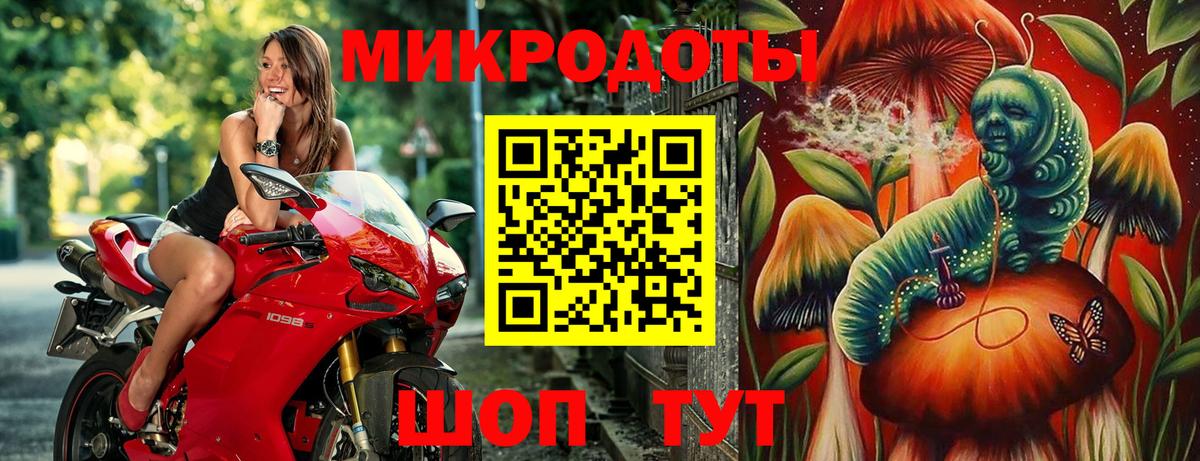 Галлюциногенные грибы Psilocybe Великий Новгород