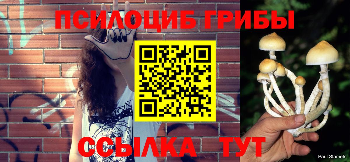 Великий Новгород  Галлюциногенные грибы MAGIC MUSHROOMS  Вход с VPN  Псилоцибиновые грибы мухоморы 