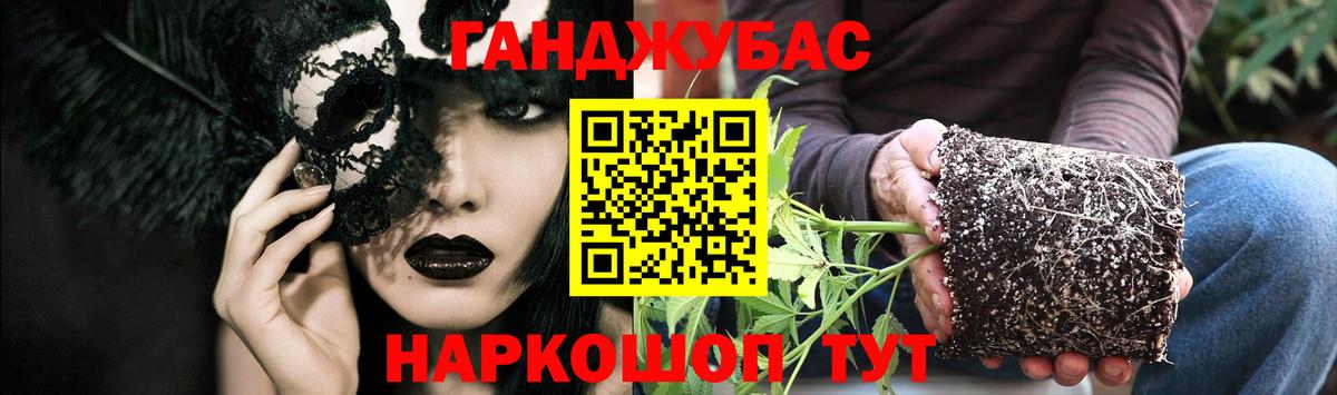 Великий Новгород  Бошки марихуана семена  Марихуана сатива  Вход с VPN 
